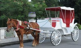 皇家马车爆料视频大全最新,揭秘王室生活幕后精彩瞬间